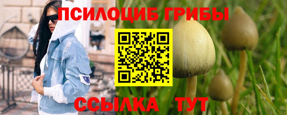 Псилоцибиновые грибы прущие грибы Благодарный